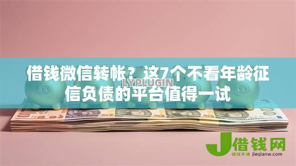 借钱微信转帐?这7个不看年龄征信负债的平台值得一试 借钱微信转帐?这7个不看年龄征信负债的平台值得一试