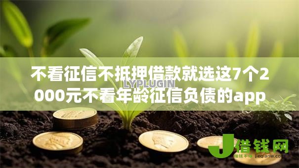 不看征信不抵押借款就选这7个2000元不看年龄征信负债的app 不看征信不抵押借款就选这7个2000元不看年龄征信负债的app