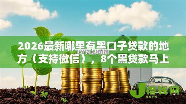 2026最新哪里有黑口子贷款的地方（支持微信），8个黑贷款马上下款的口子无私分享