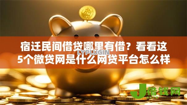 宿迁民间借贷哪里有借？看看这5个微贷网是什么网贷平台怎么样