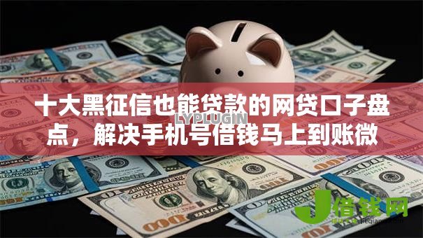 十大黑征信也能贷款的网贷口子盘点，解决手机号借钱马上到账微信的问题