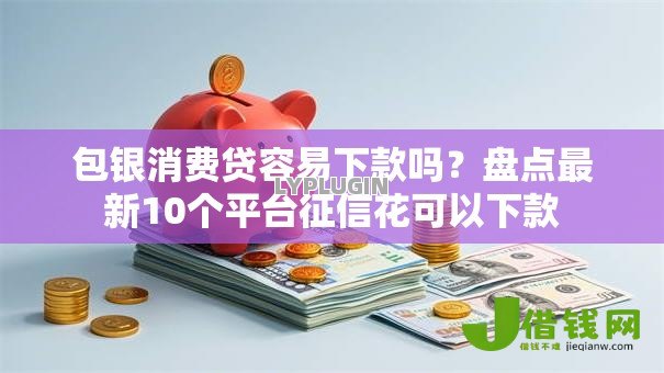 包银消费贷容易下款吗?盘点最新10个平台征信花可以下款 包银消费贷容易下款吗?盘点最新10个平台征信花可以下款