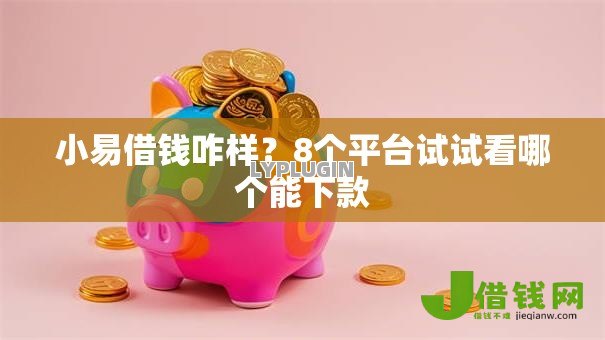 小易借钱咋样?8个平台试试看哪个能下款 小易借钱咋样?8个平台试试看哪个能下款