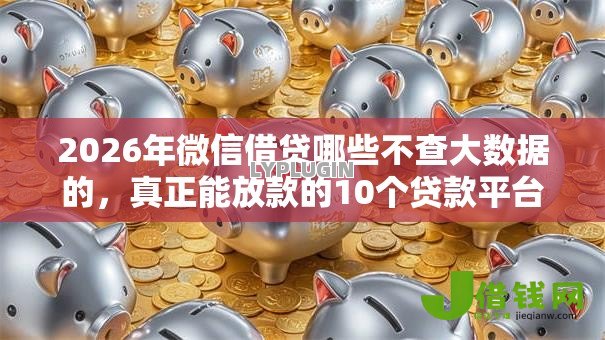 2026年微信借贷哪些不查大数据的，真正能放款的10个贷款平台推荐推荐
