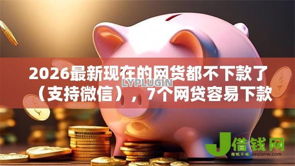 2026最新现在的网货都不下款了（支持微信），7个网贷容易下款18岁的软件无私分享