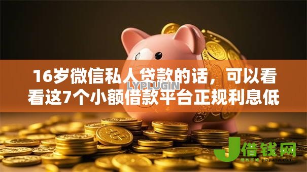 16岁微信私人贷款的话，可以看看这7个小额借款平台正规利息低