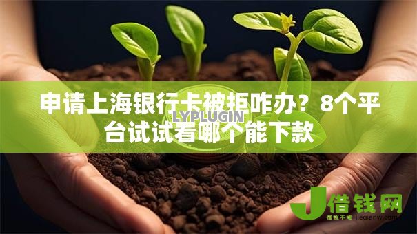 申请上海银行卡被拒咋办?8个平台试试看哪个能下款 申请上海银行卡被拒咋办?8个平台试试看哪个能下款
