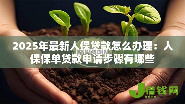2025年最新人保贷款怎么办理：人保保单贷款申请步骤有哪些