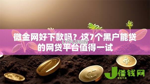 微金网好下款吗?这7个黑户能贷的网贷平台值得一试 微金网好下款吗?这7个黑户能贷的网贷平台值得一试