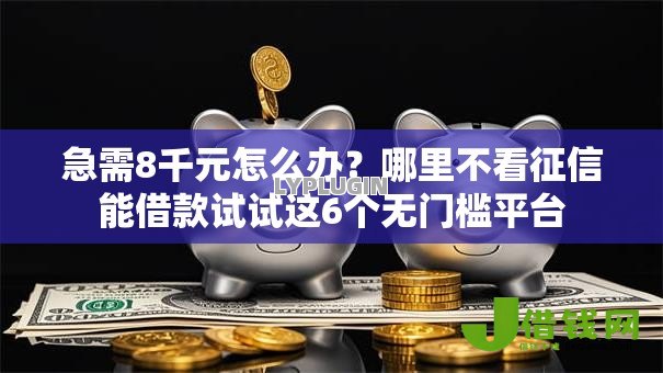 急需8千元怎么办？哪里不看征信能借款试试这6个无门槛平台
