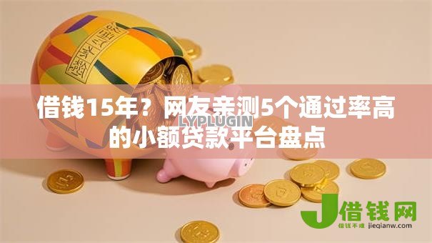 借钱15年？网友亲测5个通过率高的小额贷款平台盘点