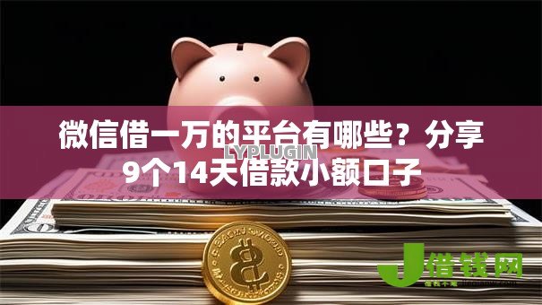 微信借一万的平台有哪些？分享9个14天借款小额口子