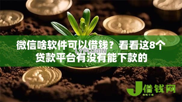 微信啥软件可以借钱?看看这8个贷款平台有没有能下款的 微信啥软件可以借钱?看看这8个贷款平台有没有能下款的