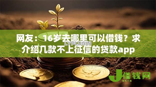 网友：16岁去哪里可以借钱？求介绍几款不上征信的贷款app