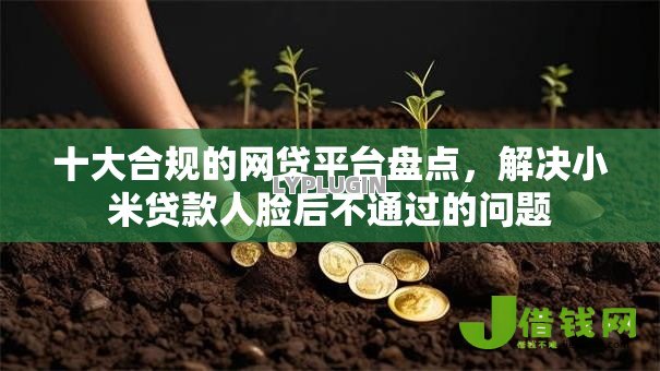 十大合规的网贷平台盘点,解决小米贷款人脸后不通过的问题 十大合规的网贷平台盘点,解决小米贷款人脸后不通过的问题