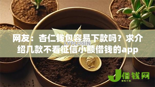 网友：杏仁钱包容易下款吗？求介绍几款不看征信小额借钱的app
