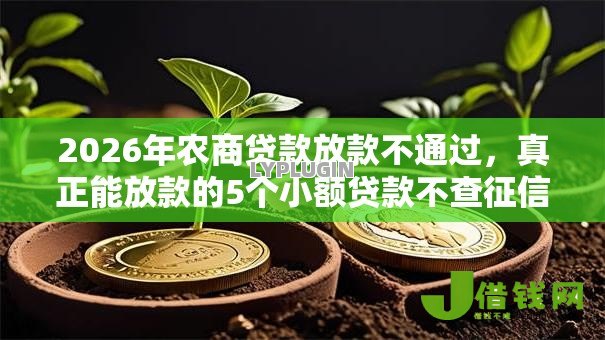 2026年农商贷款放款不通过,真正能放款的5个小额贷款不查征信的软件推荐 2026年农商贷款放款不通过,真正能放款的5个小额贷款不查征信的软件推荐
