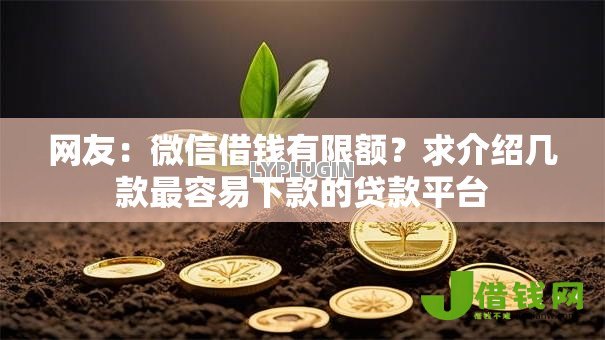 网友:微信借钱有限额?求介绍几款最容易下款的贷款平台 网友:微信借钱有限额?求介绍几款最容易下款的贷款平台