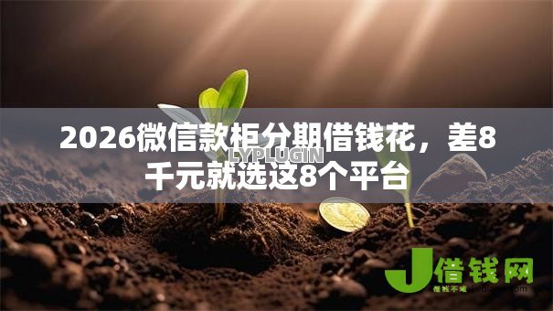2026微信款柜分期借钱花,差8千元就选这8个平台 2026微信款柜分期借钱花,差8千元就选这8个平台