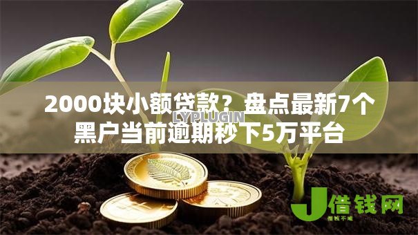 2000块小额贷款?盘点最新7个黑户当前逾期秒下5万平台 2000块小额贷款?盘点最新7个黑户当前逾期秒下5万平台