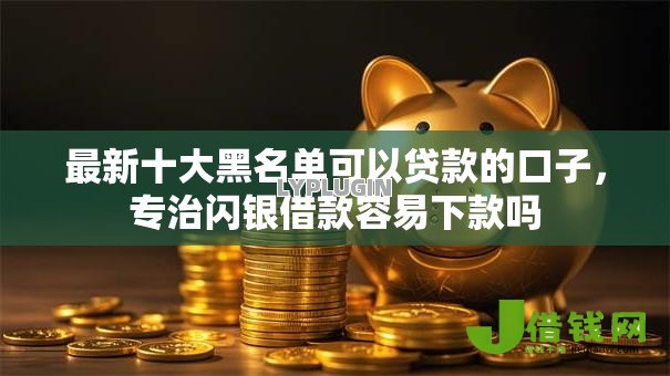 最新十大黑名单可以贷款的口子，专治闪银借款容易下款吗