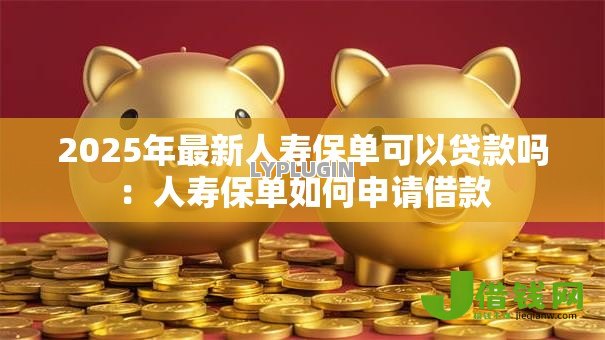 2025年最新人寿保单可以贷款吗：人寿保单如何申请借款