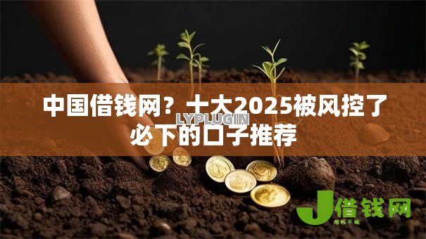 中国借钱网?十大2025被风控了必下的口子推荐 中国借钱网?十大2025被风控了必下的口子推荐