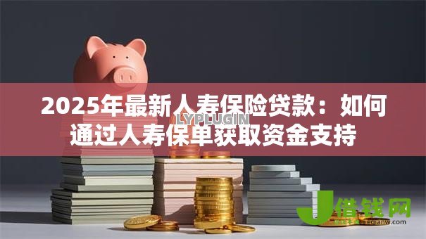 2025年最新人寿保险贷款:如何通过人寿保单获取资金支持 2025年最新人寿保险贷款:如何通过人寿保单获取资金支持
