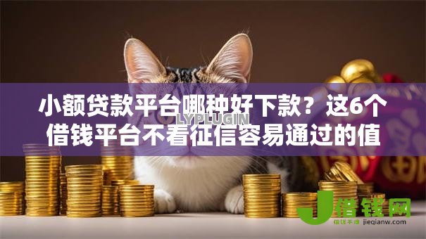 小额贷款平台哪种好下款?这6个借钱平台不看征信容易通过的值得一试 小额贷款平台哪种好下款?这6个借钱平台不看征信容易通过的值得一试