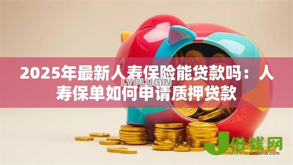 2025年最新人寿保险能贷款吗：人寿保单如何申请质押贷款