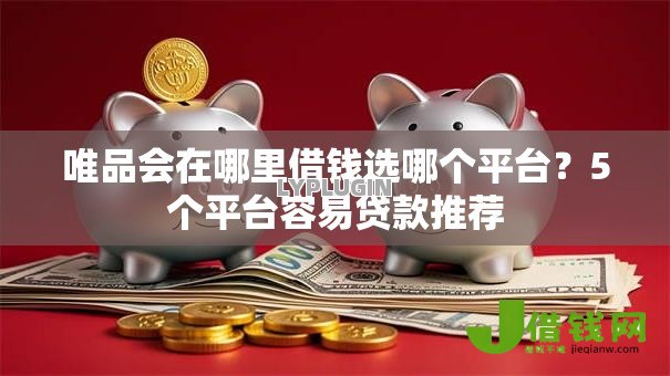 唯品会在哪里借钱选哪个平台？5个平台容易贷款推荐