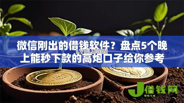 微信刚出的借钱软件?盘点5个晚上能秒下款的高炮口子给你参考 微信刚出的借钱软件?盘点5个晚上能秒下款的高炮口子给你参考