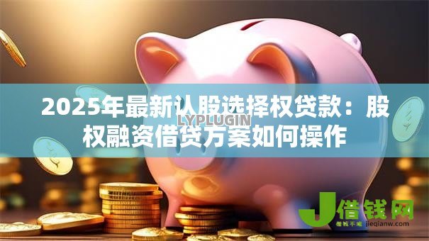 2025年最新认股选择权贷款：股权融资借贷方案如何操作