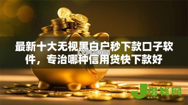 最新十大无视黑白户秒下款口子软件，专治哪种信用贷快下款好