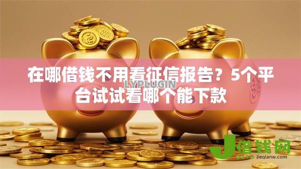 在哪借钱不用看征信报告?5个平台试试看哪个能下款 在哪借钱不用看征信报告?5个平台试试看哪个能下款