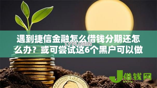 遇到捷信金融怎么借钱分期还怎么办？或可尝试这6个黑户可以做大额贷款平台