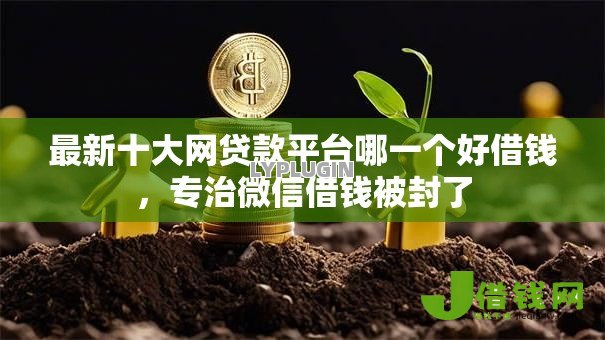 最新十大网贷款平台哪一个好借钱，专治微信借钱被封了