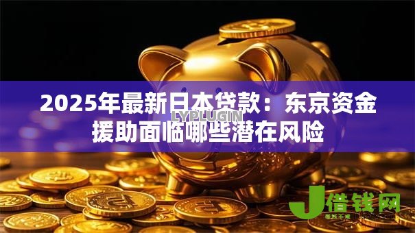 2025年最新日本贷款:东京资金援助面临哪些潜在风险 2025年最新日本贷款:东京资金援助面临哪些潜在风险