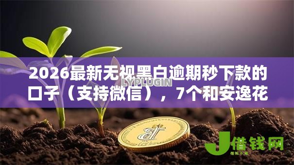 2026最新无视黑白逾期秒下款的口子(支持微信),7个和安逸花一样好下款的平台无私分享 2026最新无视黑白逾期秒下款的口子(支持微信),7个和安逸花一样好下款的平台无私分享