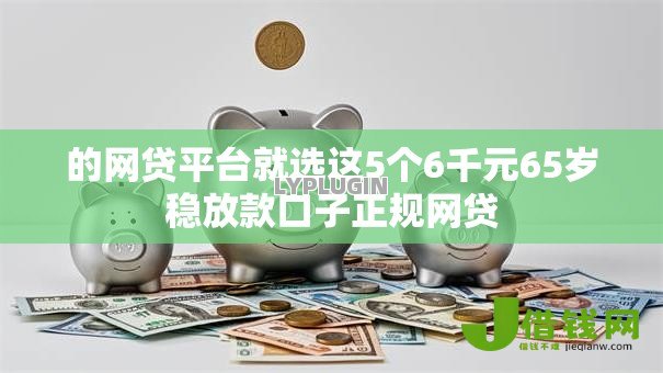 的网贷平台就选这5个6千元65岁稳放款口子正规网贷