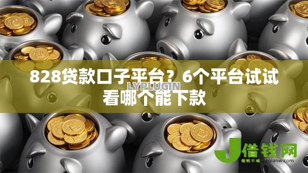 828贷款口子平台？6个平台试试看哪个能下款