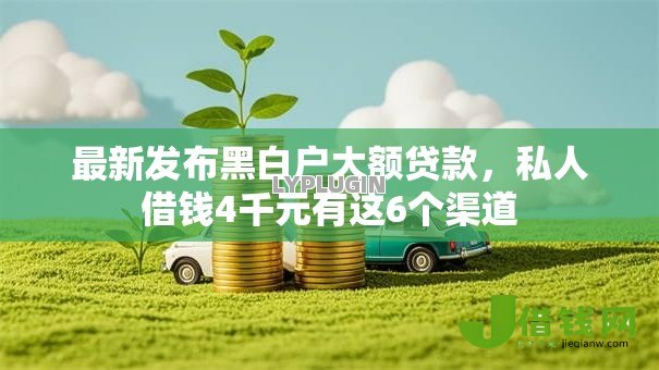 最新发布黑白户大额贷款，私人借钱4千元有这6个渠道