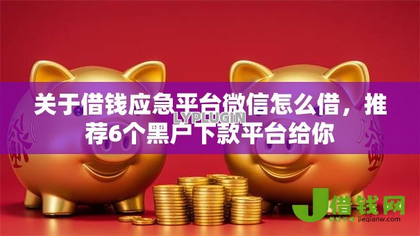 关于借钱应急平台微信怎么借,推荐6个黑户下款平台给你 关于借钱应急平台微信怎么借,推荐6个黑户下款平台给你