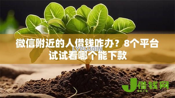 微信附近的人借钱咋办?8个平台试试看哪个能下款 微信附近的人借钱咋办?8个平台试试看哪个能下款