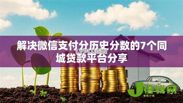 解决微信支付分历史分数的7个同城贷款平台分享