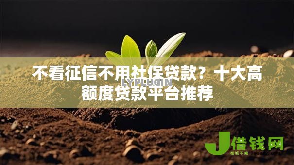 不看征信不用社保贷款?十大高额度贷款平台推荐 不看征信不用社保贷款?十大高额度贷款平台推荐