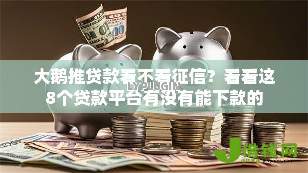 大鹅推贷款看不看征信？看看这8个贷款平台有没有能下款的