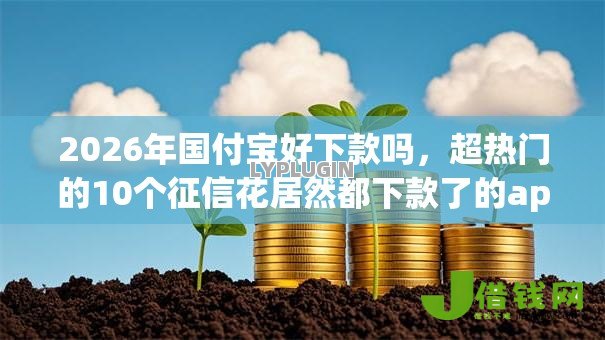 2026年国付宝好下款吗,超热门的10个征信花居然都下款了的app推荐 2026年国付宝好下款吗,超热门的10个征信花居然都下款了的app推荐