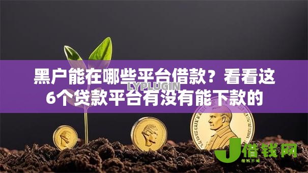 黑户能在哪些平台借款?看看这6个贷款平台有没有能下款的 黑户能在哪些平台借款?看看这6个贷款平台有没有能下款的