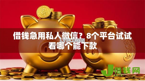 借钱急用私人微信?8个平台试试看哪个能下款 借钱急用私人微信?8个平台试试看哪个能下款